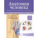 Анатомия человека. Опорно-двигательный аппарат. Учебник. В 3 томах. Том 1