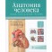 Анатомия человека. Учебник. В 3 томах. Том 2. Спланхнология и сердечно-сосудистая система