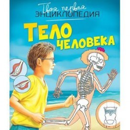 Тело человека