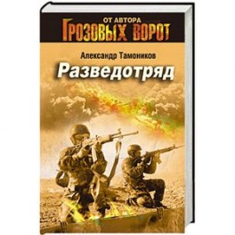 дмитрий светлов — снайпер разведотряда. иваниченко, демченко: разведотряд. книги о десантниках. светлов дмитрий николаевич. снайпер разведотряда должность.