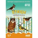 Птицы средней полосы. Наглядно-дидактическое пособие. Для детей 3-7 лет (набор карточек)