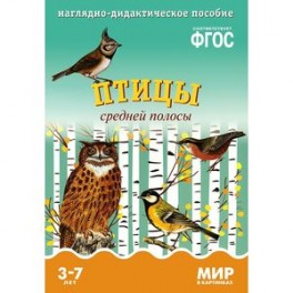 Птицы средней полосы. Наглядно-дидактическое пособие. Для детей 3-7 лет (набор карточек)