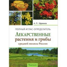 Лекарственные растения и грибы средней полосы России
