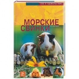 Морские свинки