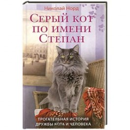 Серый кот по имени Степан. Трогательная история дружбы кота и человека.