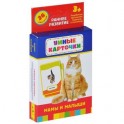 Мамы и малыши (набор из 36 карточек)