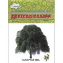 Деревья России (набор из 12 карточек)