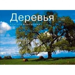 Деревья. Красота и гармония