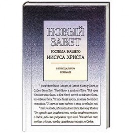 Новый Завет с ударениями господа нашего Иисуса Христа