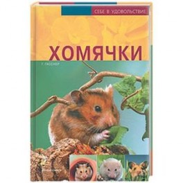 Хомячки