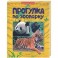 Прогулки по зоопарку