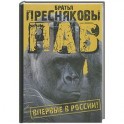 Паб