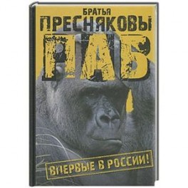 Паб