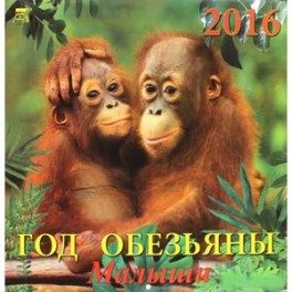 Календарь настенный на 2016 год "Год обезьяны. Малыши"