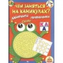 Чем заняться на каникулах? Лабиринты, схемы. Выпуск 1