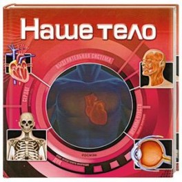 Наше тело