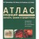 Атлас операций при злакачественных опухолях легкого, трахеи и средостения