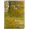 Декоративные деревья и кустарники.