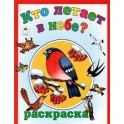 Кто летает в небе. Раскраска