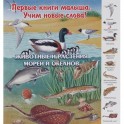Животные и растения морей и океанов