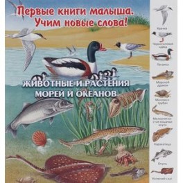 Животные и растения морей и океанов
