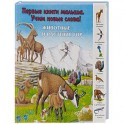 Животные и растения гор