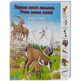 Животные и растения гор