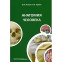 Анатомия человека: Учебное пособие.
