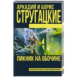 Пикник на обочине