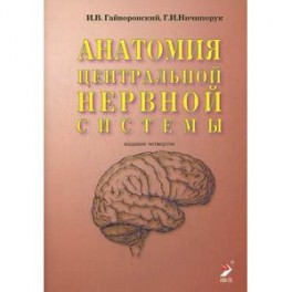 Анатомия центральной нервной системы