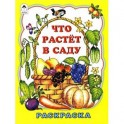 Что растет в саду. Раскраска