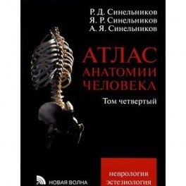 Атлас анатомии человека. В 4-х томах. Том 4. Учение о нервной системе и органах чувств
