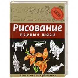 Рисование. Первые шаги