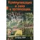 Коммуникация и пиар в организации