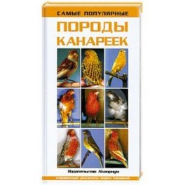 Самые популярные породы канареек