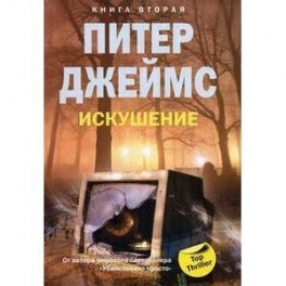 Искушение. Книга 2