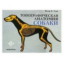Топографическая анатомия собаки