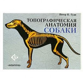 Топографическая анатомия собаки