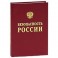 Безопасность России. Анализ риска и управление безопасностью