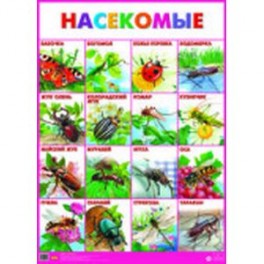 Насекомые