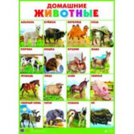 Домашние животные
