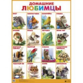 Домашние любимцы