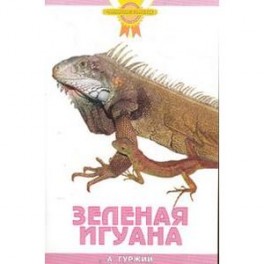 Зеленая игуана