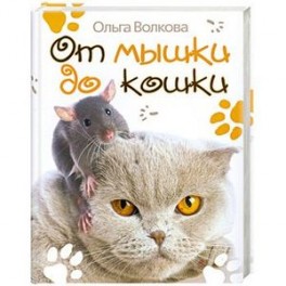 От мышки до кошки