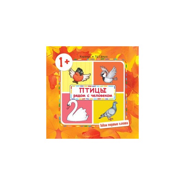 Игра найди слова птицы уровень 7. Игра в слова птицы. Найди слова ответы. Найди слова птицы. Игра слов птицы.