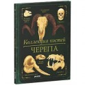 Коллекция костей. Черепа