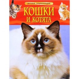 Кошки и котята