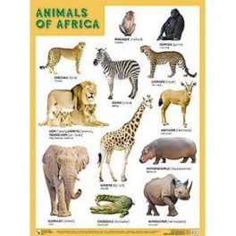 Плакат ANIMALS OF AFRICA (Животные Африки)