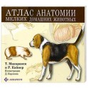 Атлас анатомии мелких домашних животных