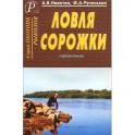 Ловля сорожки. Справочник